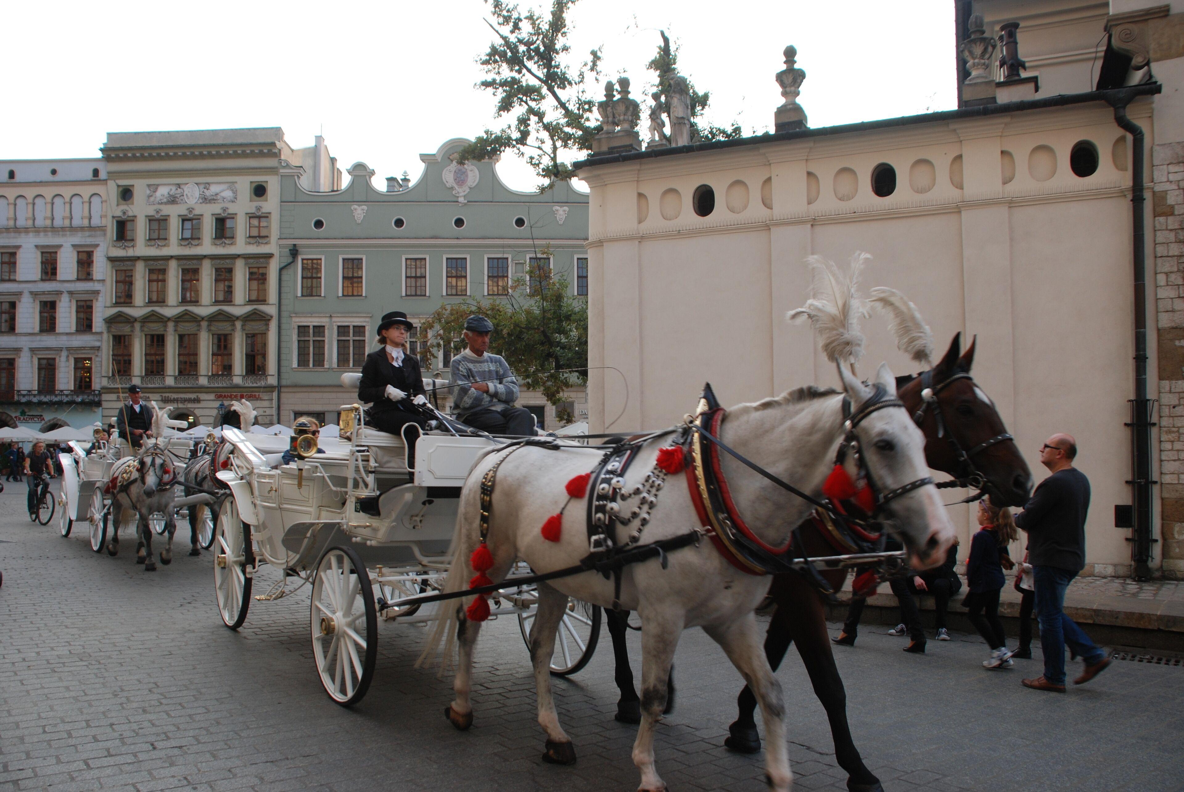 Hotel Kazimierz III, Krakow